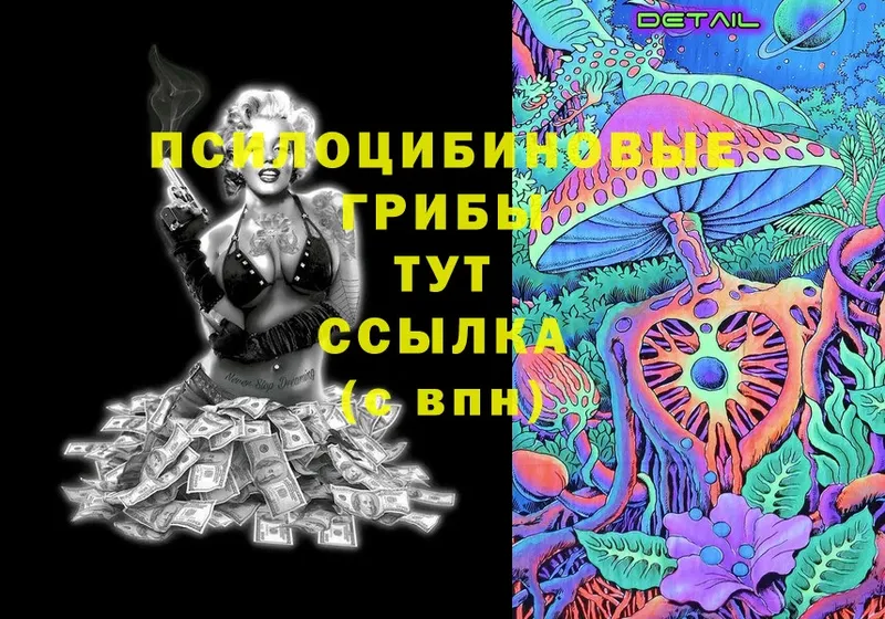 Псилоцибиновые грибы Magic Shrooms  Спасск-Рязанский 